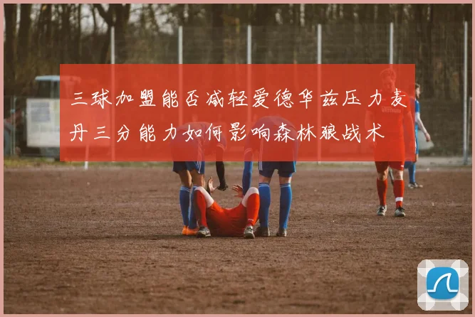 三球加盟能否减轻爱德华兹压力麦丹三分能力如何影响森林狼战术